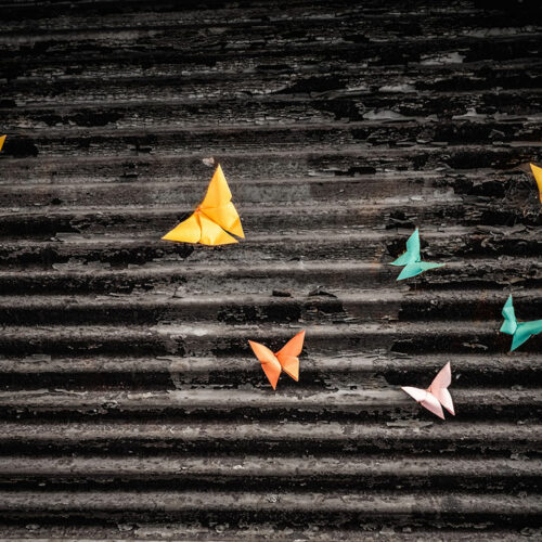 NLO-04©Djè-photographie